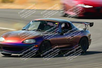 media/Sep-08-2024-VIP Trackdays (Sun) [[e20bd699b9]]/B Group/Session 2-Turns 4 and 6/